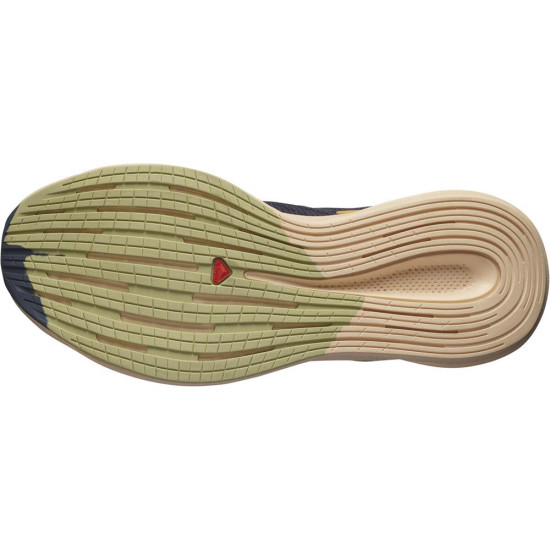 Salomon Spectur